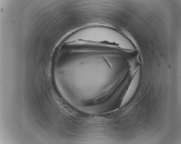 X0000086320387200704271922