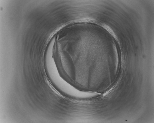 X0000086320389200704271922