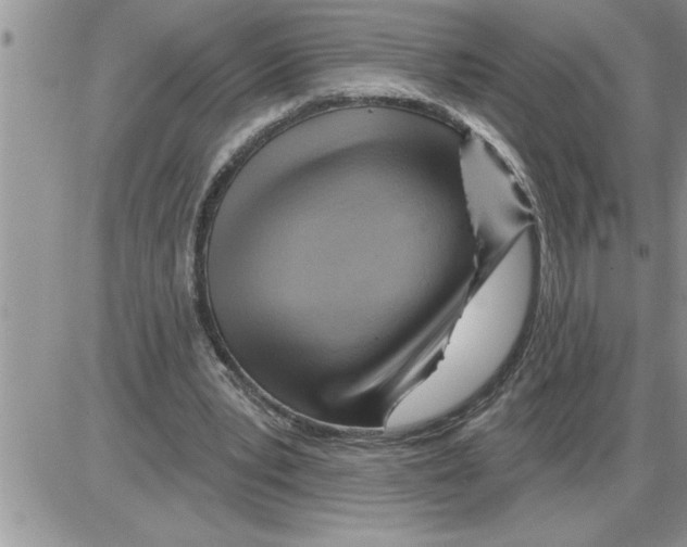 X0000086320391200704271922