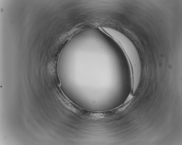 X0000086320409200704271922