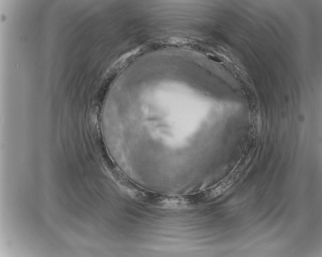 X0000086320415200704271922