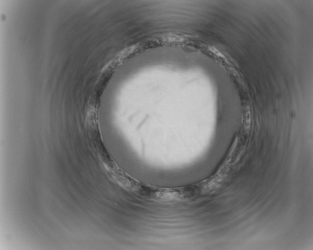 X0000086320419200704271922