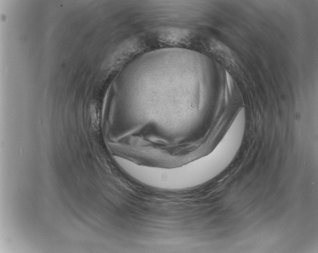 X0000086320420200704271922