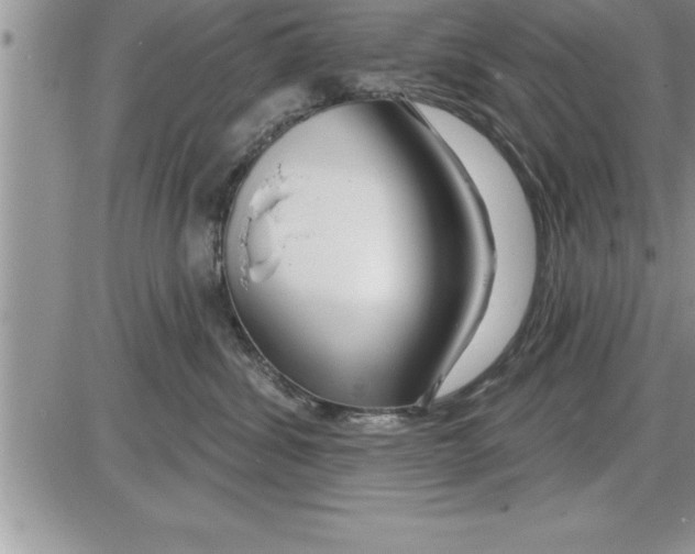 X0000086320428200704271922