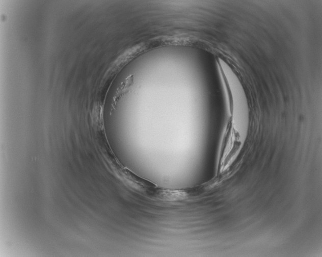 X0000086320429200704271922