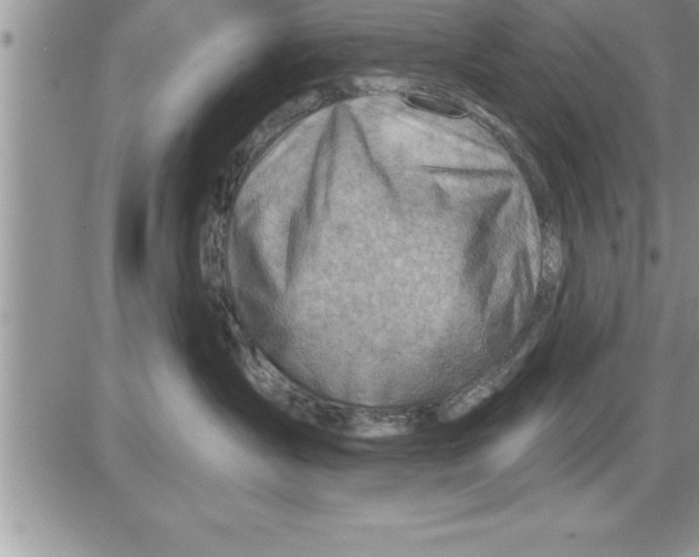 X0000086320431200704271922