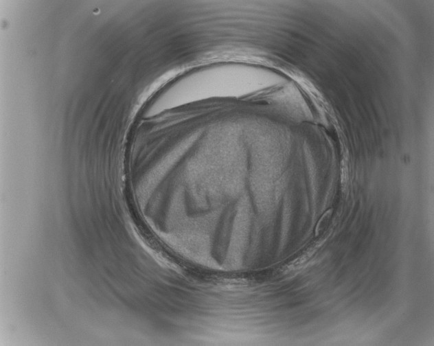X0000086320438200704271921