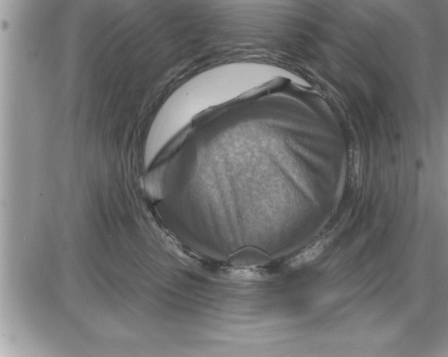 X0000086320475200704271922