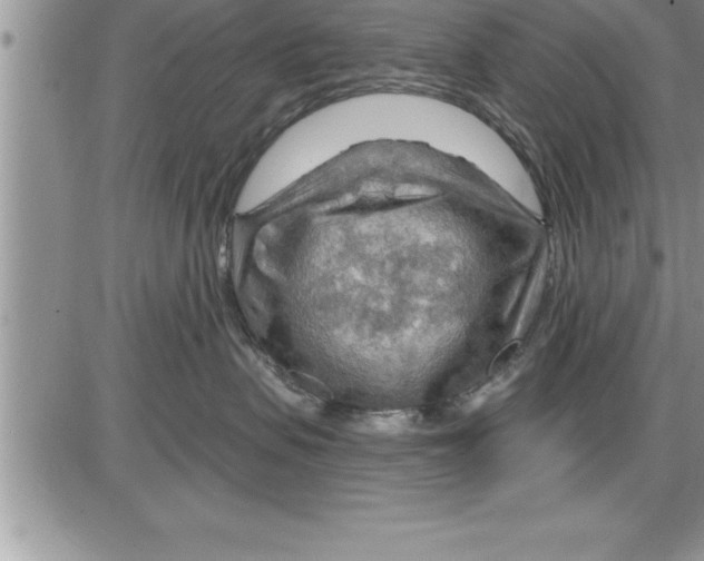 X0000086320479200704271922