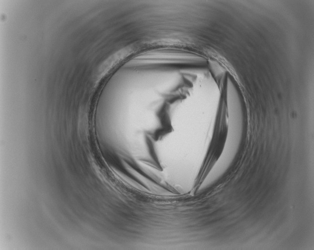 X0000086320482200704271921