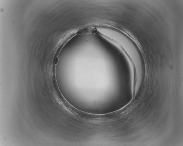 X0000086320485200704271921