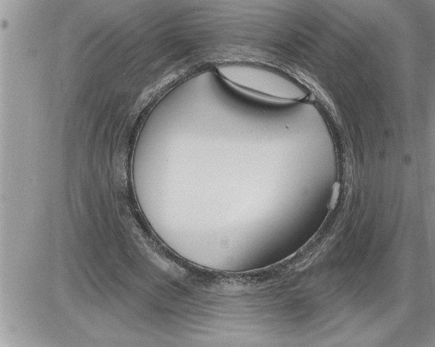 X0000086320489200704271921