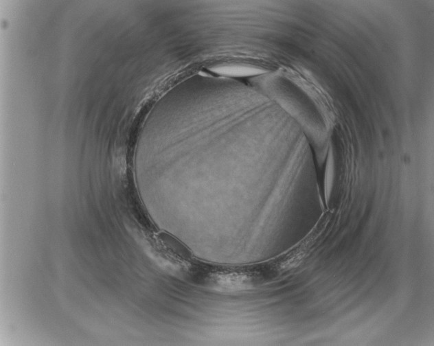 X0000086320500200704271921