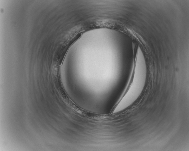 X0000086320513200704271920