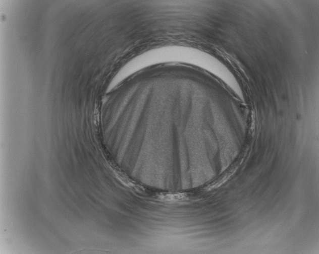 X0000086320517200704271920