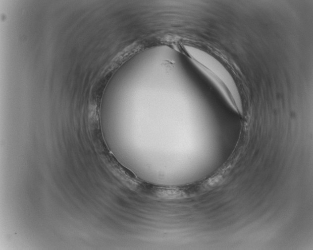 X0000086320521200704271920