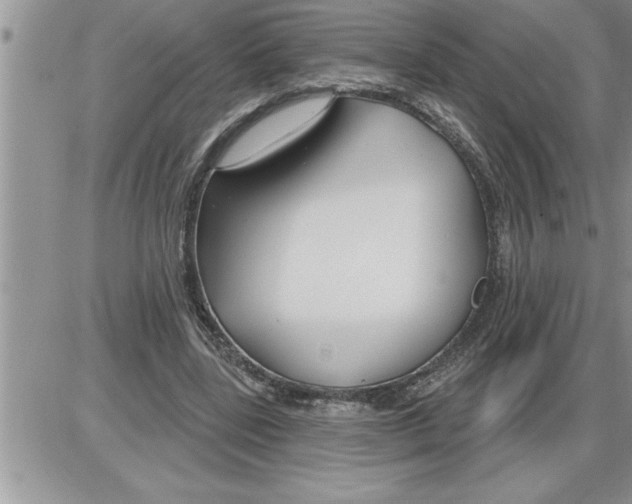 X0000086320539200704271920