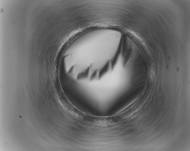 X0000086320540200704271920