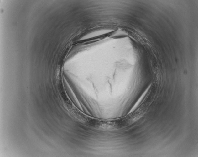 X0000086320550200704271920