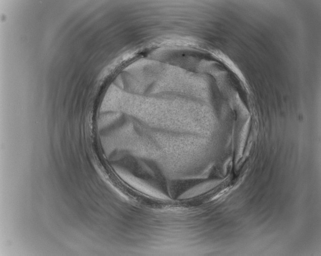 X0000086320581200704271919