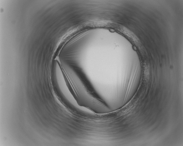 X0000086320582200704271919