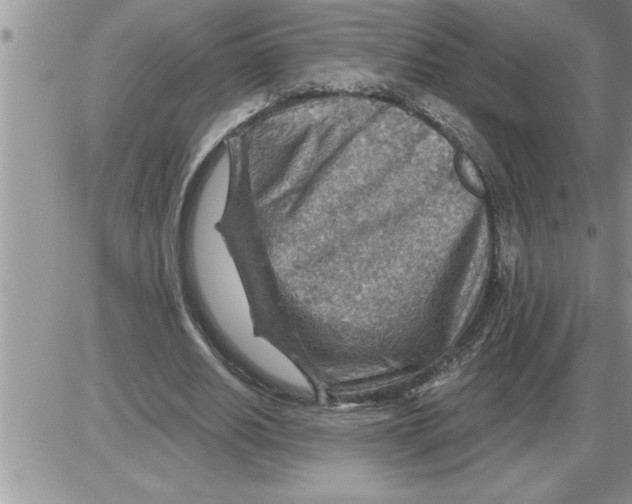 X0000086320630200704271918