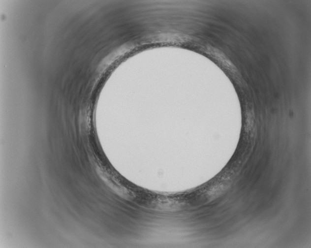X0000086320632200704271918