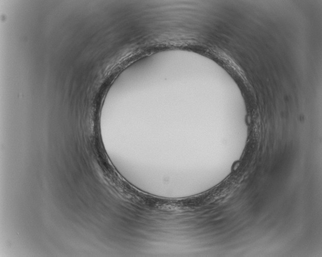 X0000086320635200704271918