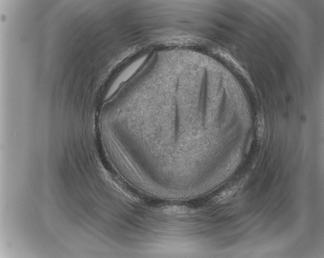 X0000086320637200704271918