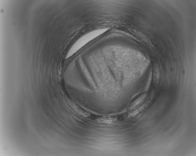 X0000086320661200704271918