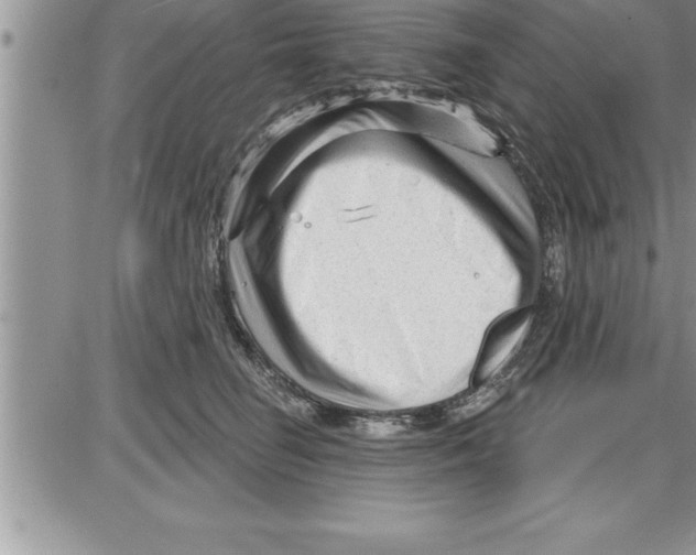 X0000086320662200704271918