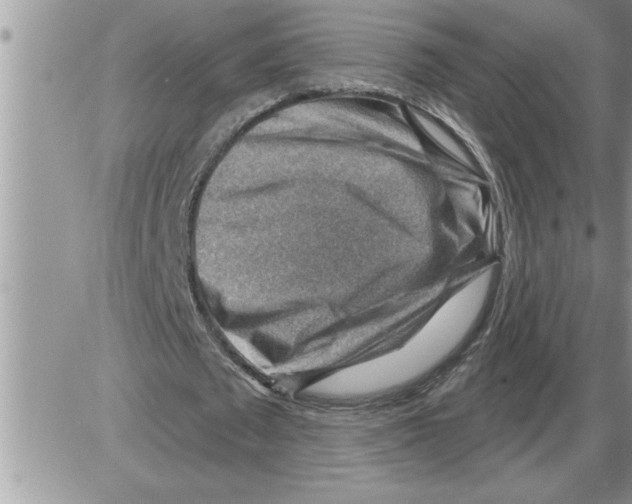 X0000086320673200704271918
