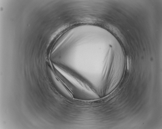 X0000086320675200704271918