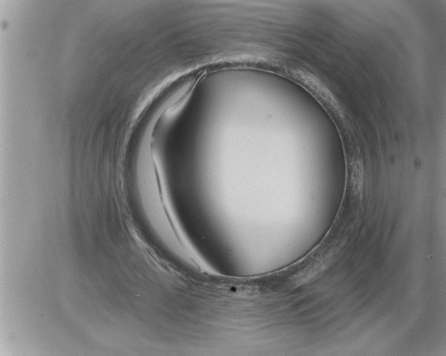 X0000086320676200704271918