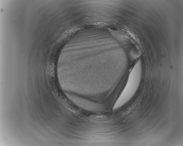 X0000086320689200704271918