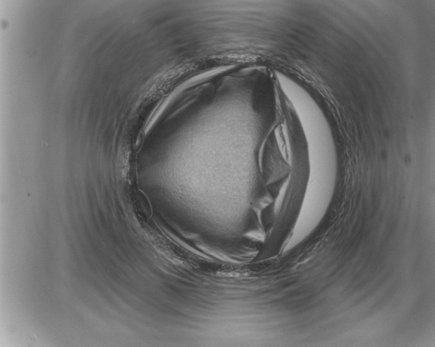 X0000086320693200704271917