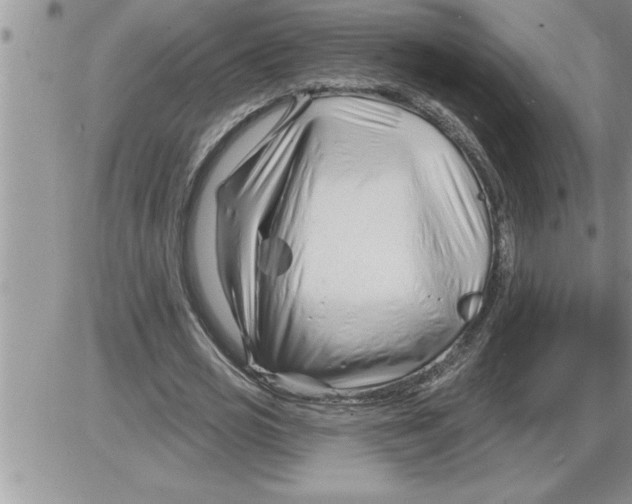 X0000086320725200704271916