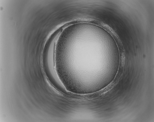 X0000086320726200704271916