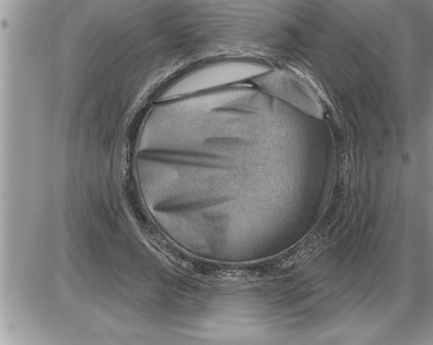 X0000086320736200704271917