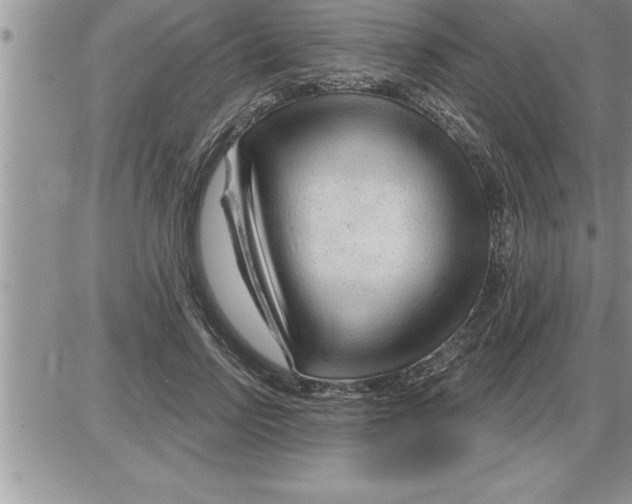 X0000086320742200704271917
