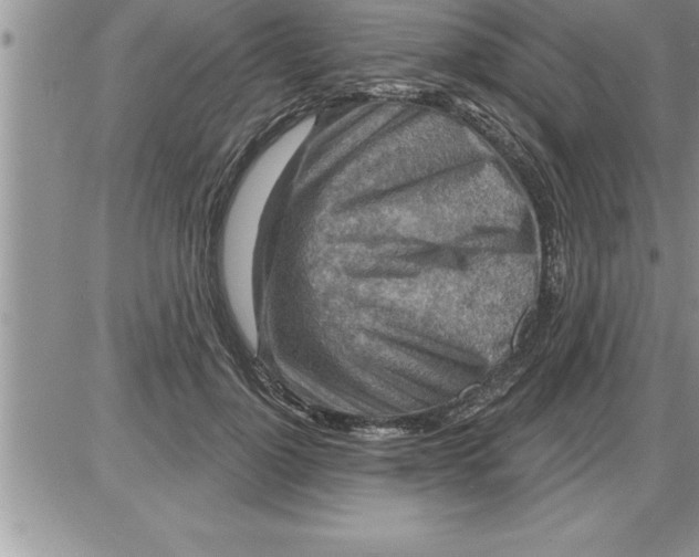 X0000086320748200704271917