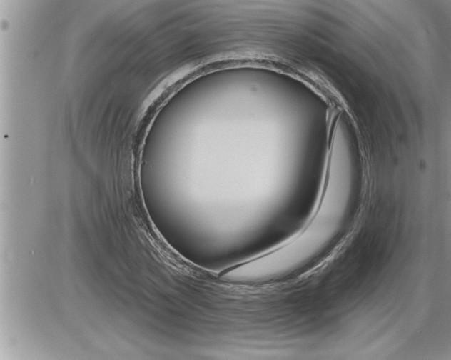 X0000086320781200704271916