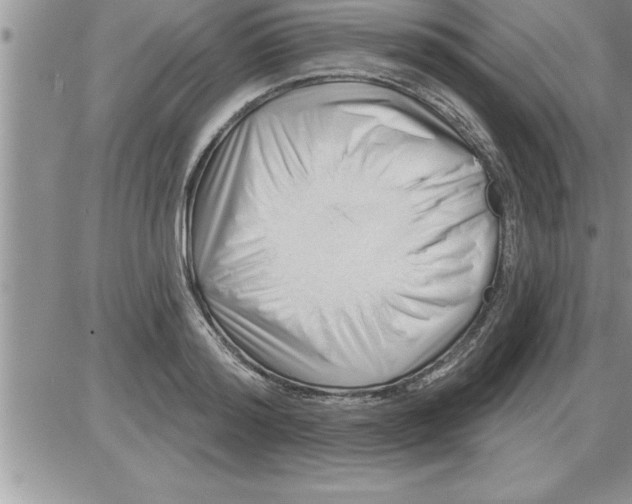 X0000086320796200704271916