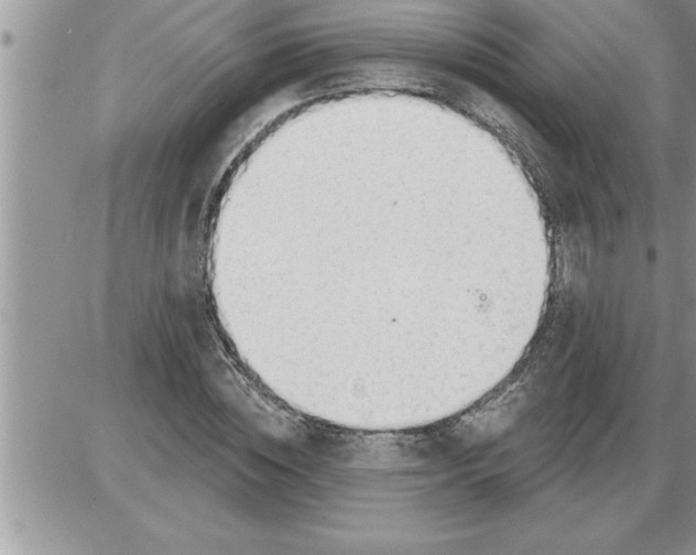 X0000086320828200704271915