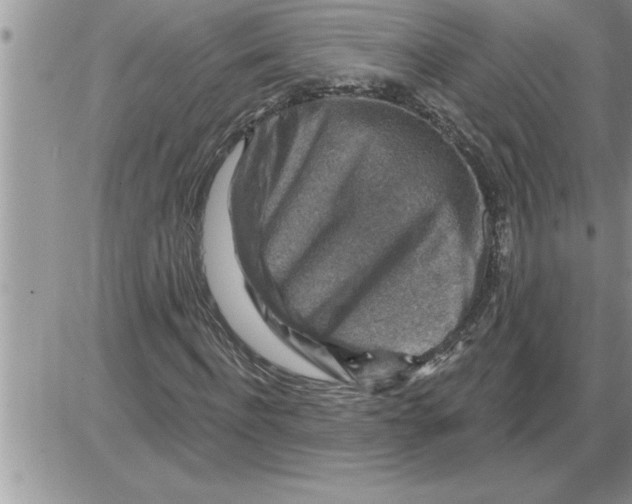 X0000086320916200704271913
