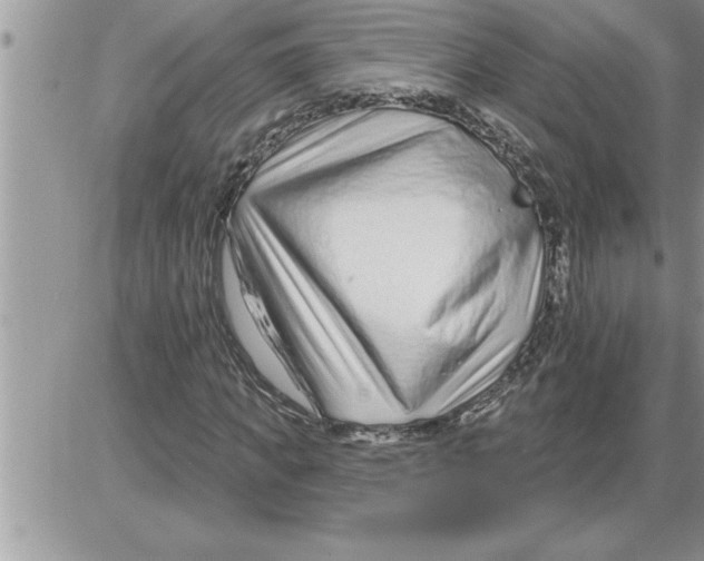 X0000086320917200704271913