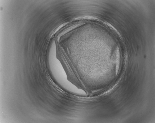 X0000086320921200704271913