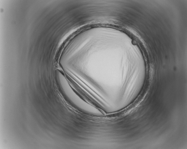 X0000086320925200704271913