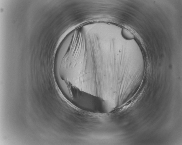 X0000086320941200704271914