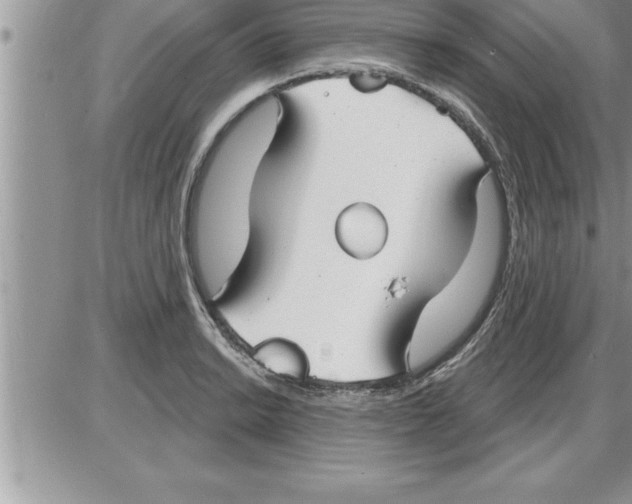 X0000086321038200704271912